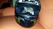 20161029_184937.jpg
