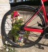 Mavic Ksyrium SLR