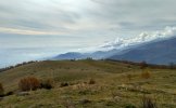 IMG_20221102_115234.jpg