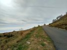 IMG_20221102_120325.jpg