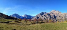 img_20221105_141740.jpg