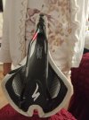IMG_20221106_190107.jpg