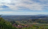 IMG_20221106_131612.jpg