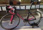 Pinarello02.jpg