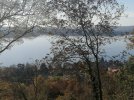 IMG_20221127_110314.jpg