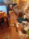 F933538F-D252-4CDF-A38A-AAFB546F8299.jpeg