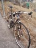scapin-front.jpg