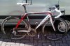 Hersh_Matrix_Campy 01.jpg