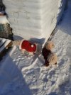 20221218_105411.jpg