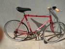BIANCHI 3.jpg