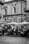 DSC_5772.jpg