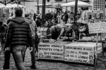 DSC_5778.jpg