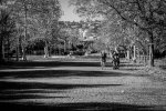 DSC_5921.jpg