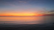 IMG_9814.JPG