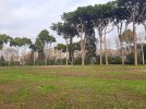 20221226_091136.jpg