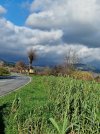 20221229_115903.jpg 20221229_115903.jpg