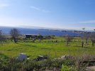 20221230_132958.jpg 20221230_132958.jpg