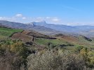 20230103_113443.jpg 20230103_113443.jpg