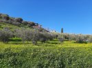 20230103_115138.jpg 20230103_115138.jpg