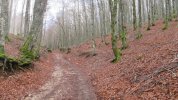 IMG_9885.JPG