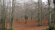 IMG_9892.JPG