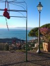 IMG_20230109_154137-01.jpeg