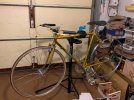 Bici update del 10. 01. 2023.jpg