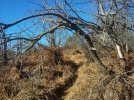 20230110_132817.JPG 20230110_132817.JPG