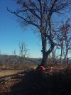 20230110_135306.JPG 20230110_135306.JPG