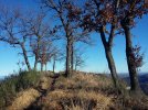 20230110_145935.JPG 20230110_145935.JPG