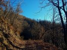 20230110_154313.JPG 20230110_154313.JPG