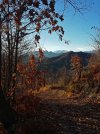 20230110_155825.JPG 20230110_155825.JPG