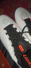 IMG_20230117_150700.jpg