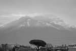 100_0001.jpg