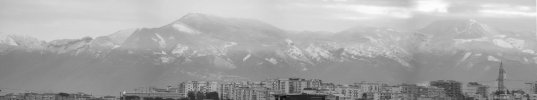 100_0003 .jpg
