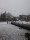 20230121_115123.jpg