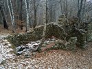 20230121_163611.JPG