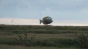 IMG_0014.JPG