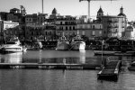 100_0016.jpg 100_0016.jpg