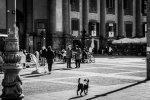 ARC BC01 (7).jpg