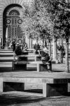 DSC_6483 (1).jpg