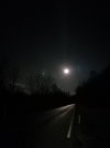 20230205_060046.jpg