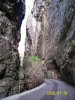 100_0603.jpg