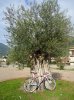 DSC02895.jpg