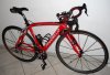 Dogma red_2.jpg