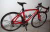 Dogma red_3.jpg