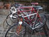 orgia colnago 002.jpg