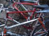 orgia colnago 003.jpg