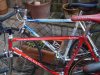 orgia colnago 004.jpg