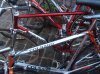 orgia colnago 005.jpg